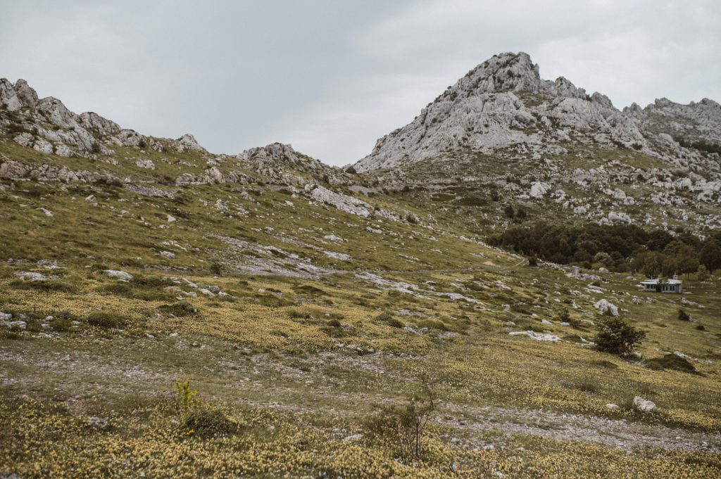 Marina Ribar elopement wedding photographer