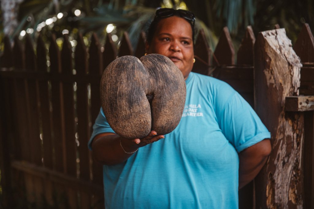 Romantic couple walking on tropical beach Seychelles Mahé