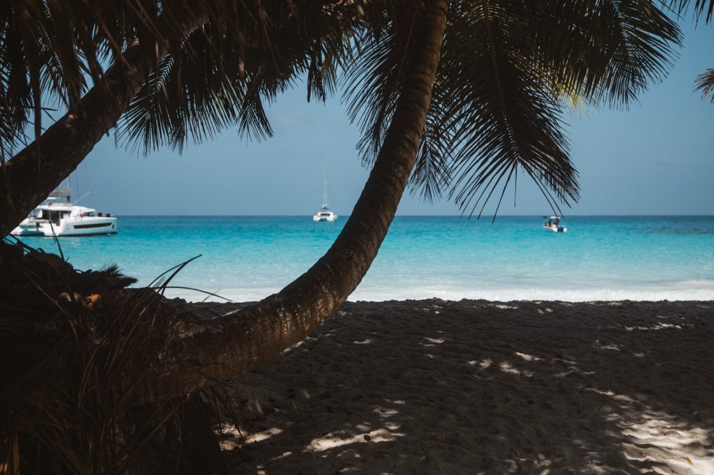 Romantic couple walking on tropical beach Seychelles Mahé