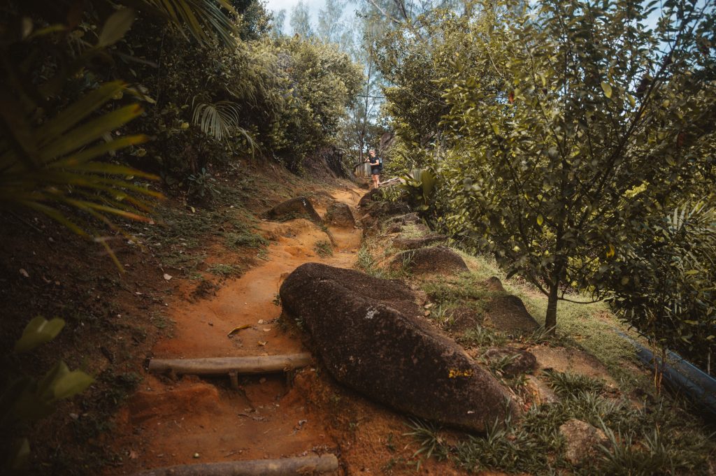 Romantic Seychelles photoshoot by destination photographer