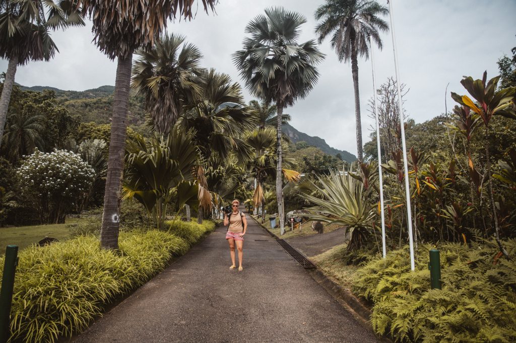 Boho couple photoshoot Seychelles tropical scenery