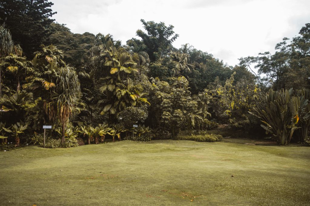 Boho couple photoshoot Seychelles tropical scenery