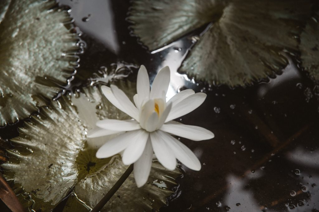 Boho couple photoshoot Seychelles tropical scenery